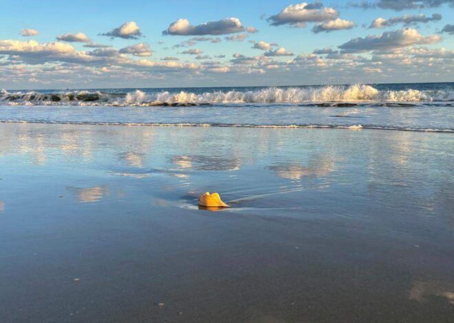 Arkansas man dies in waters off NC’s Outer Banks, National Park Service says
