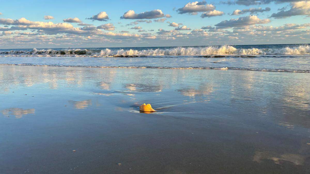 Arkansas man dies in waters off NC’s Outer Banks, National Park Service says