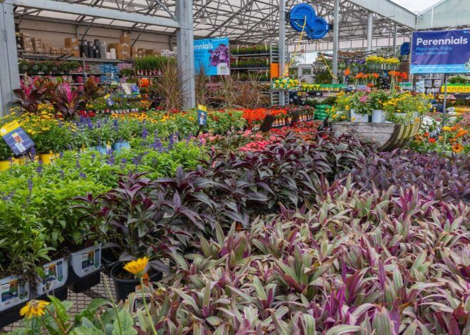 Lowe’s CEO on housing market difficulties, and what’s next for the company