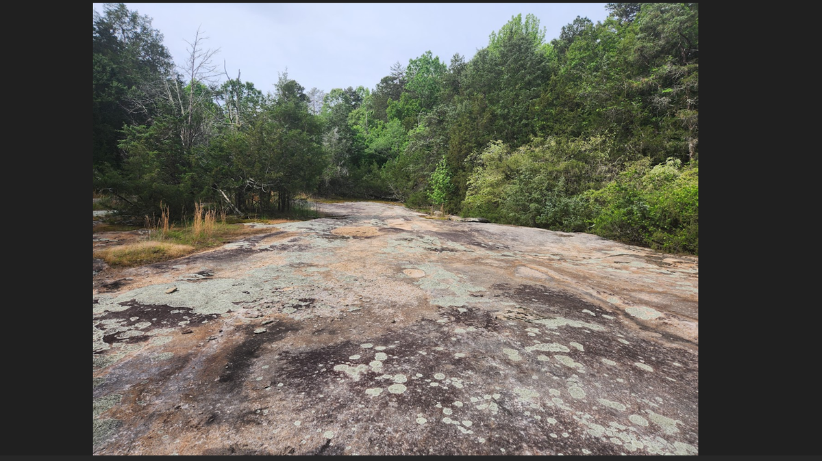 Sprawling rock hidden in North Carolina woods began as trapped magma, experts say
