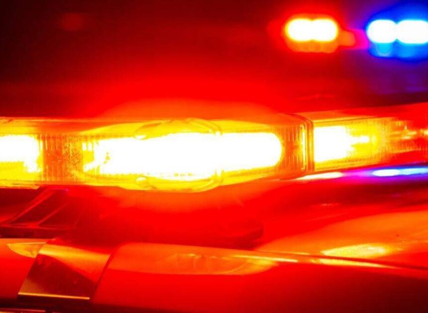 Sergeant’s hunch about BMW leads to duo suspected in 100 burglaries, NC police say
