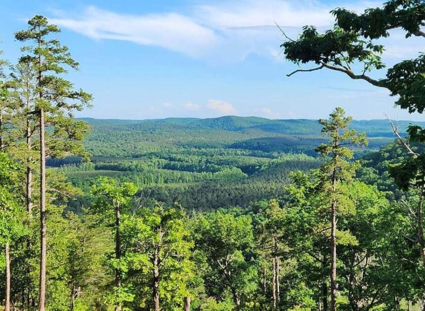 Fatal crash happened after couple let a 14-year-old drive the car, NC troopers say