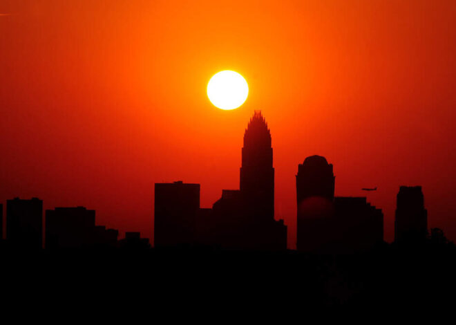 Is it legal to break a window in Charlotte to save a dog from a hot car?