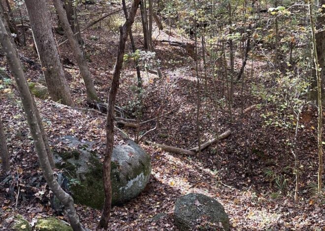 Deadly bacteria has been found in NC chiggers before. Is that still a concern?