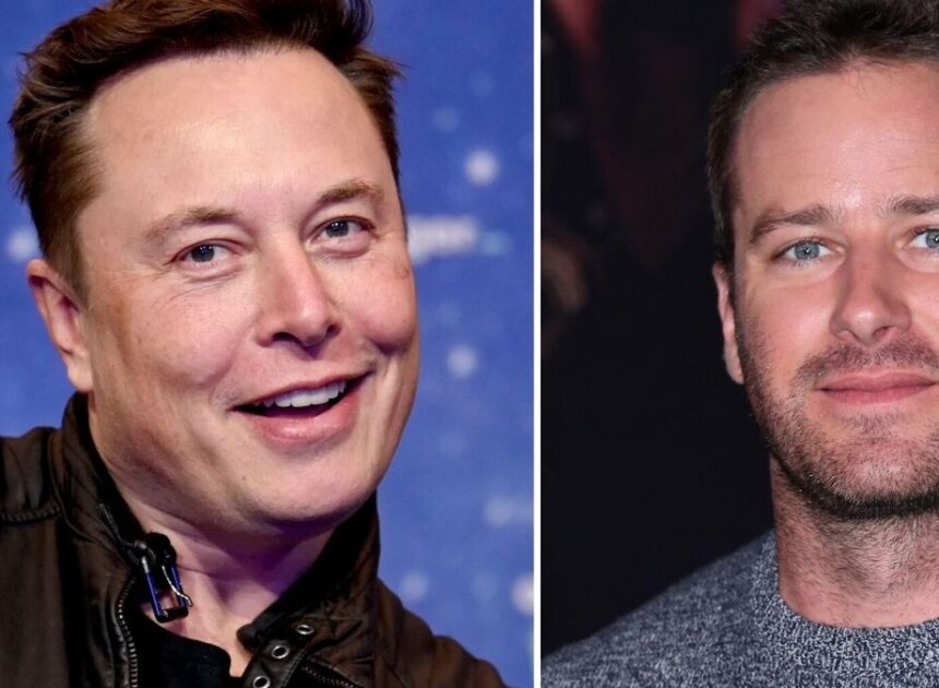 Elon Musk Shares Link to Watch Armie Hammer’s Comeback Movie After German Ban