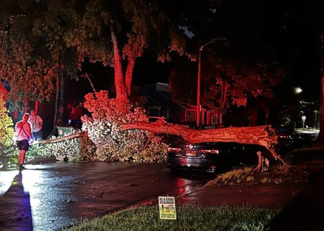 Nearly 3 inches of rain fell in parts of Charlotte region. Here are the totals