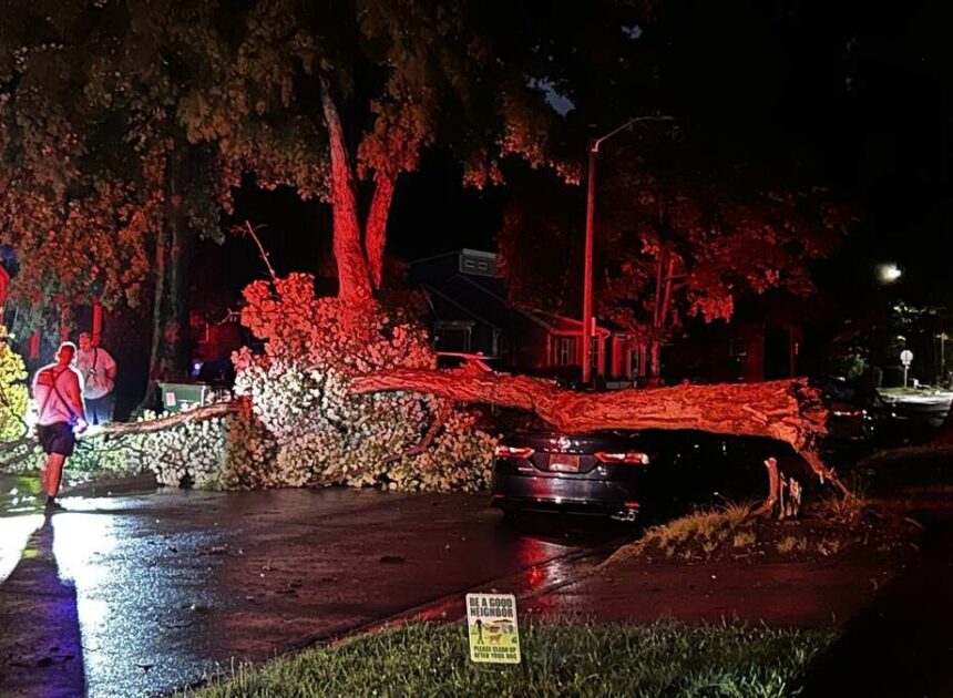 Nearly 3 inches of rain fell in parts of Charlotte region. Here are the totals