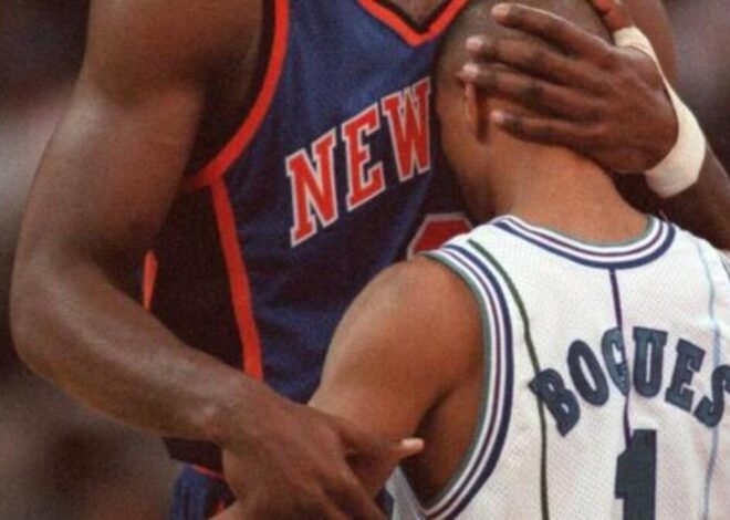 The Knicks (yes, the Knicks) helped make the Charlotte Hornets successful | Opinion