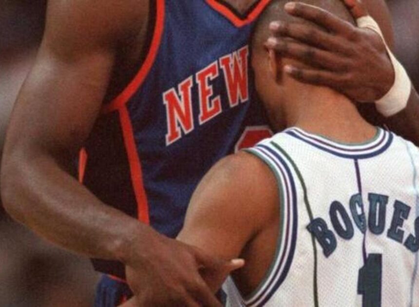 The Knicks (yes, the Knicks) helped make the Charlotte Hornets successful | Opinion
