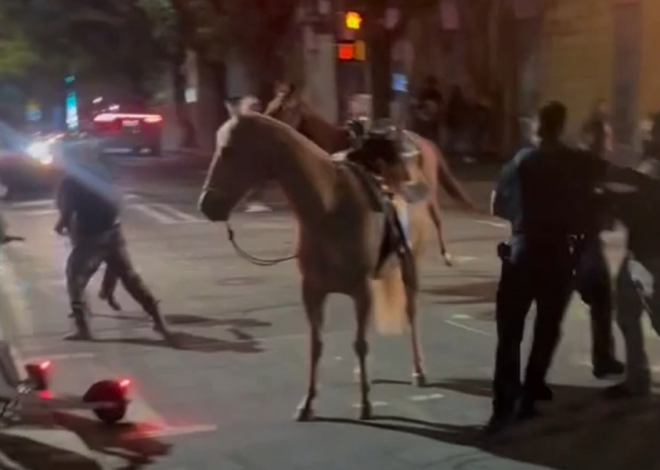 Man in viral uptown horse video loses civil case over ‘blinded’ horse, faces new charges