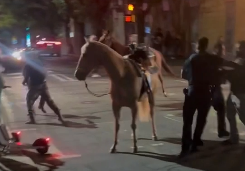 Man in viral uptown horse video loses civil case over ‘blinded’ horse, faces new charges