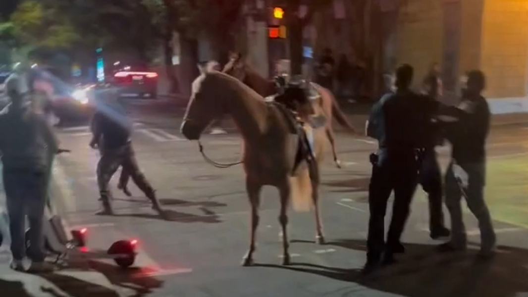 Man in viral uptown horse video loses civil case over ‘blinded’ horse, faces new charges