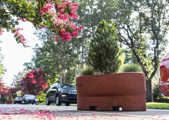 A message to everyone — including drivers — about those Plaza Midwood planters | Opinion