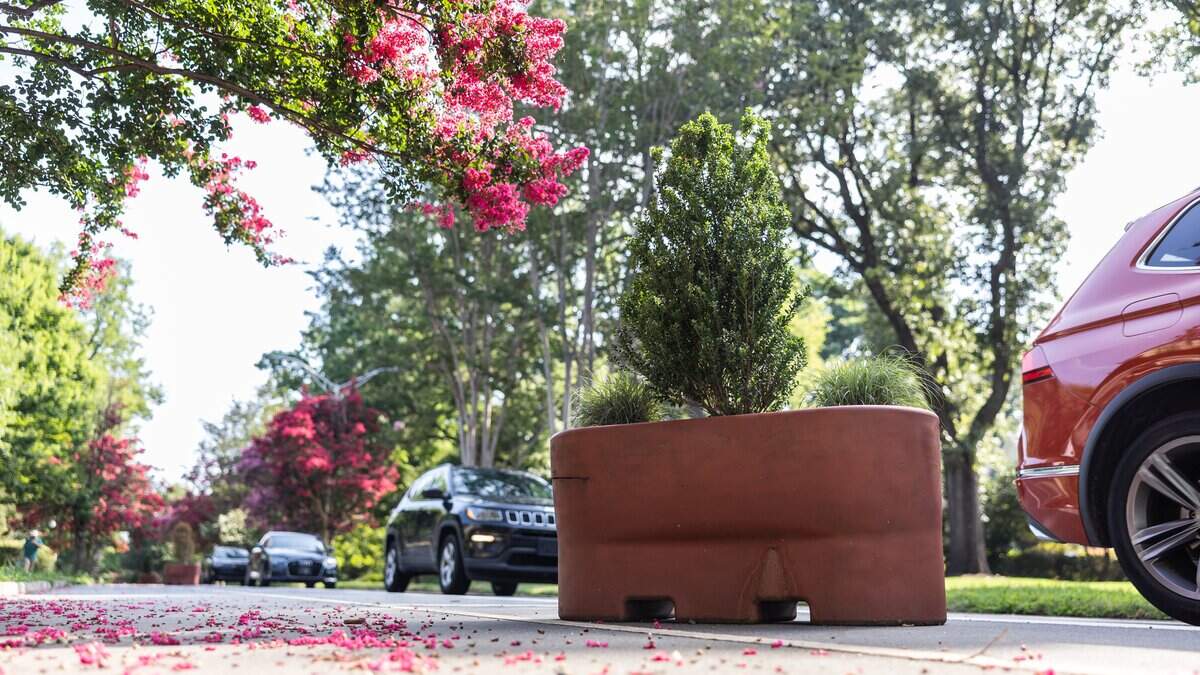 A message to everyone — including drivers — about those Plaza Midwood planters | Opinion