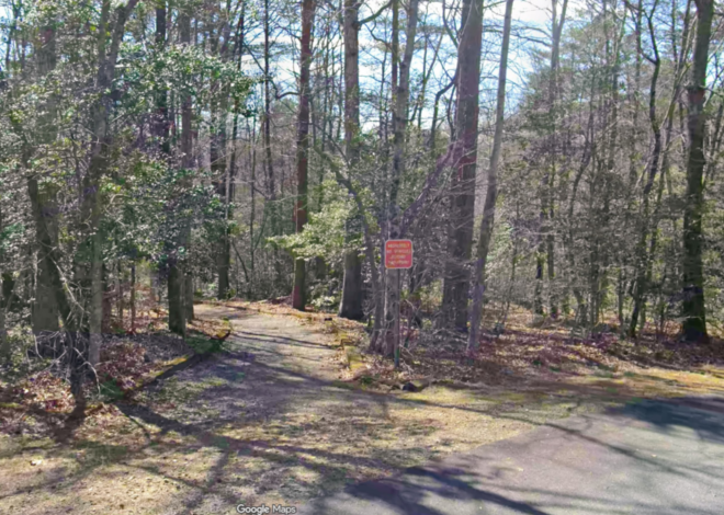 Bodies found days apart along nature trail. Both were murdered, NC sheriff says