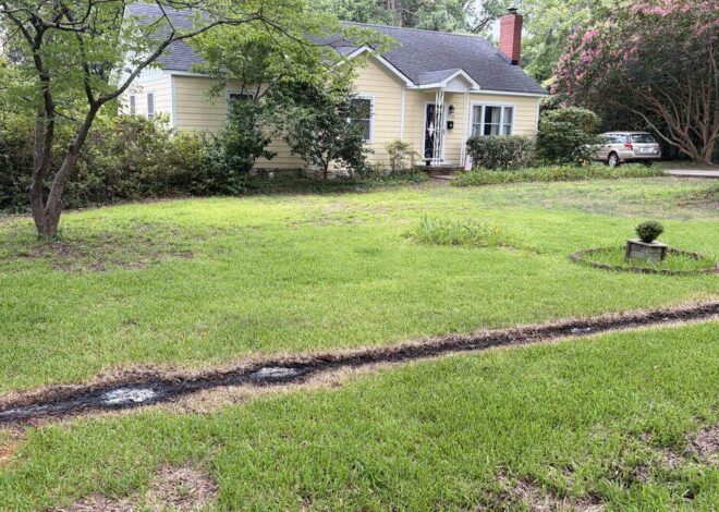 37-year-old woman electrocuted after Tuesday storms down power line in Charlotte