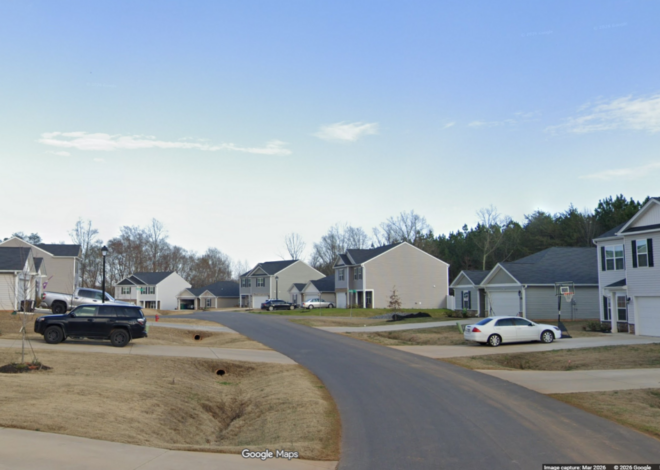 Deputy shoots at aggressive dog and bullet ricochets into home, NC sheriff says
