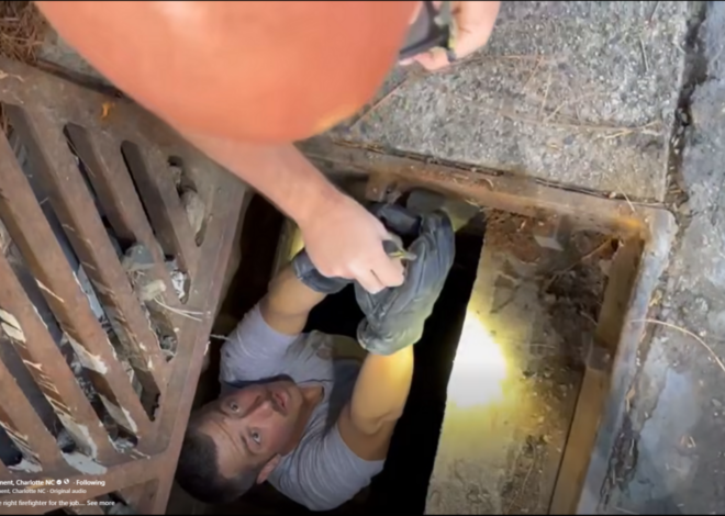 A Charlotte firefighter — last name Duckwall — saved ducklings from a storm drain