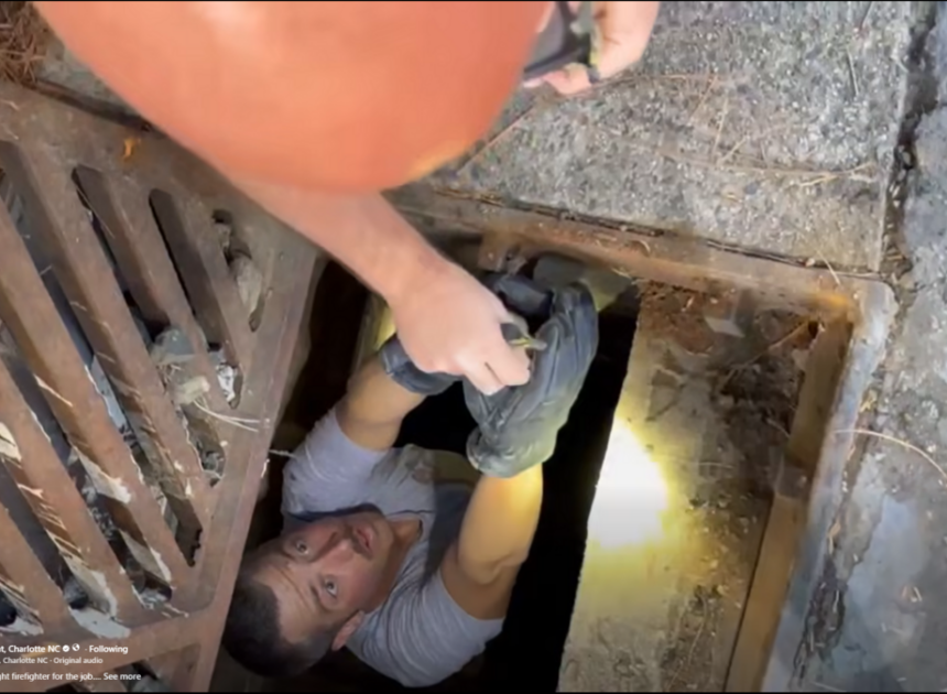A Charlotte firefighter — last name Duckwall — saved ducklings from a storm drain