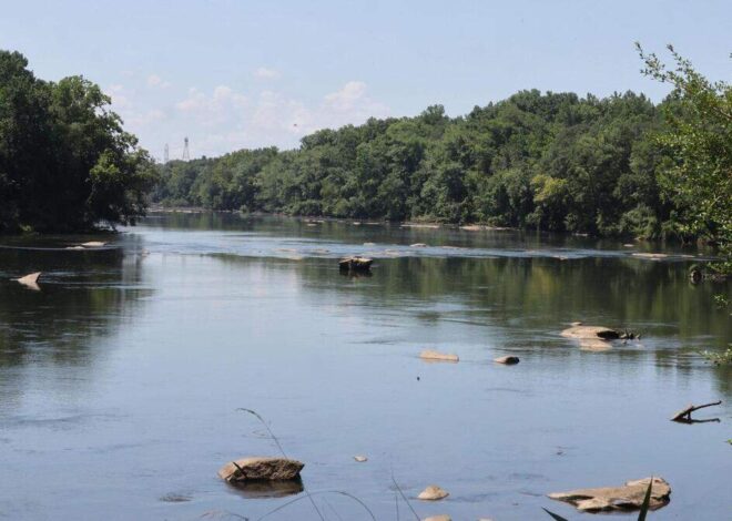 Gaston County beach closed until further notice because of high levels of E. coli