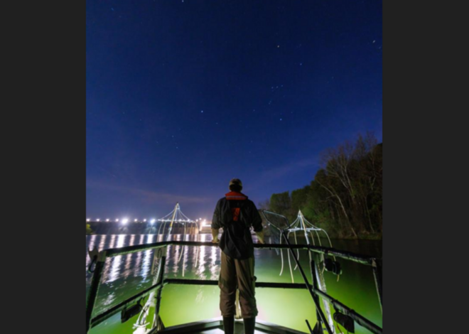 Fish with glowing eyes can vanish in NC lake for months. State seeks answers