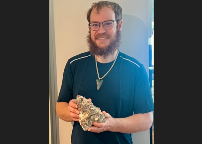 Ancient tooth found off NC coast came from shark 70 to 80 feet long, expert says