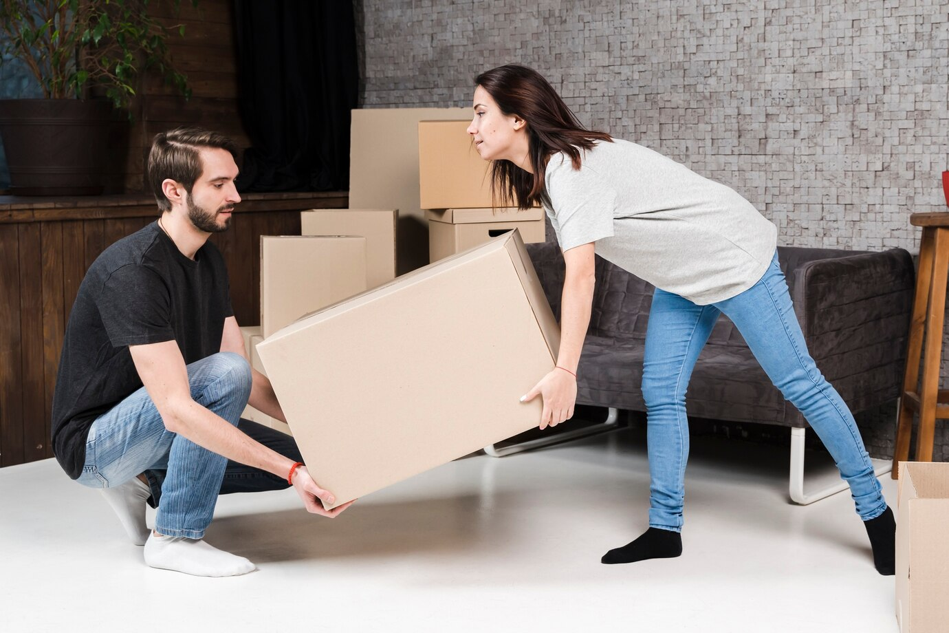 Expert Dunedin Movers | Trusted Local & Long-Distance Moving Company