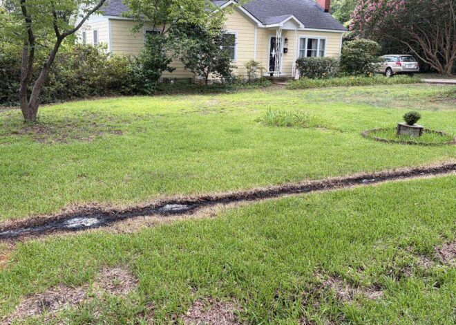 37-year-old woman electrocuted after Tuesday storms down power line in Charlotte