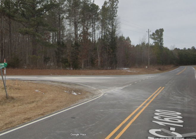 Bandits put log in road, ambush driver when he gets out to move it, NC sheriff says