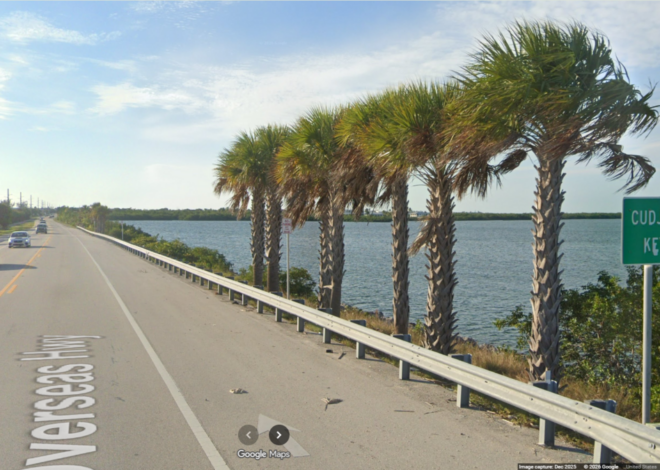 NC woman in Florida asks deputy for directions, gets charged with DUI, sheriff says