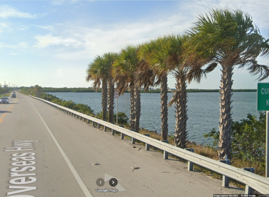 NC woman in Florida asks deputy for directions, gets charged with DUI, sheriff says