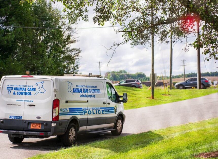 Charlotte Animal Control will no longer take certain animals. New rules