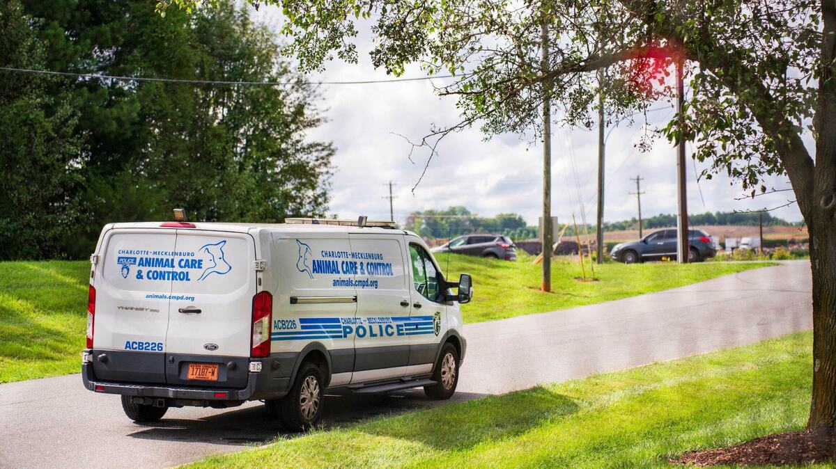 Charlotte Animal Control will no longer take certain animals. New rules