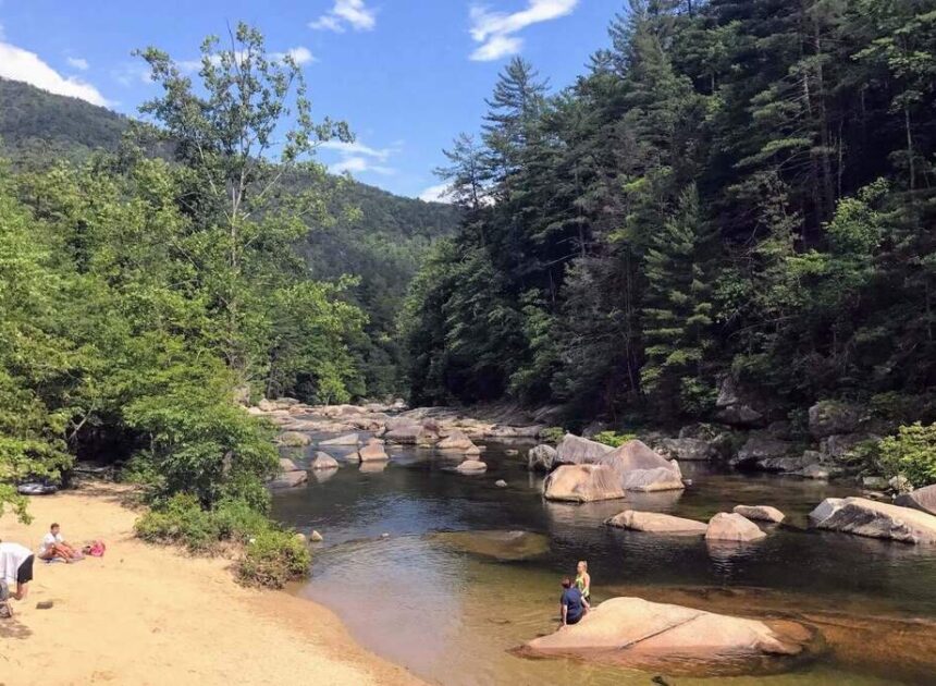ICE agents target NC’s Pisgah National Forest and make multiple arrests, feds say