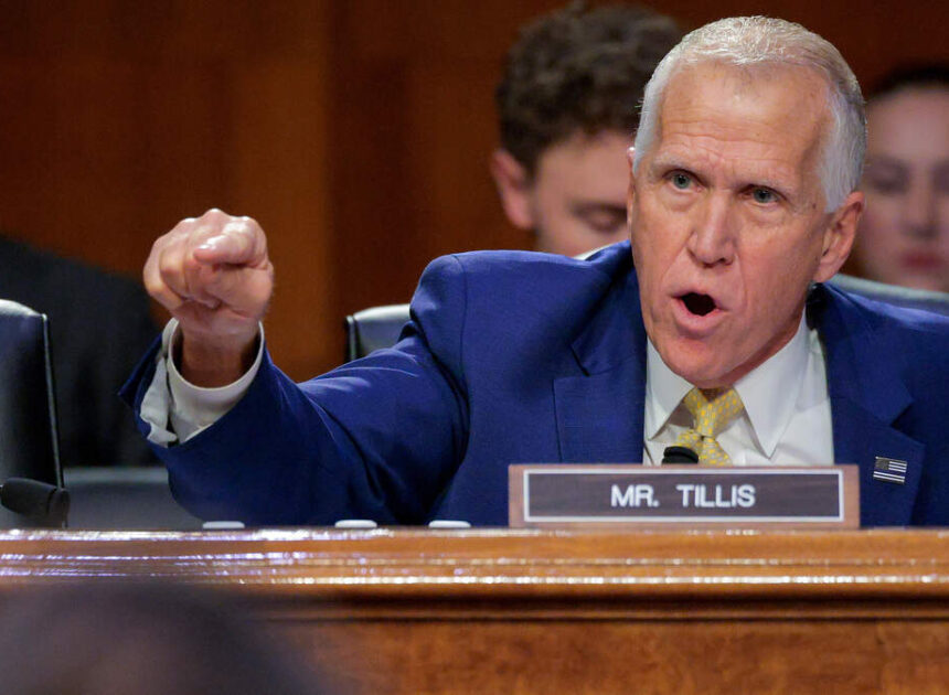 Thom Tillis vs. Blanche, teen takeovers: What Charlotte was talking about July 13-19