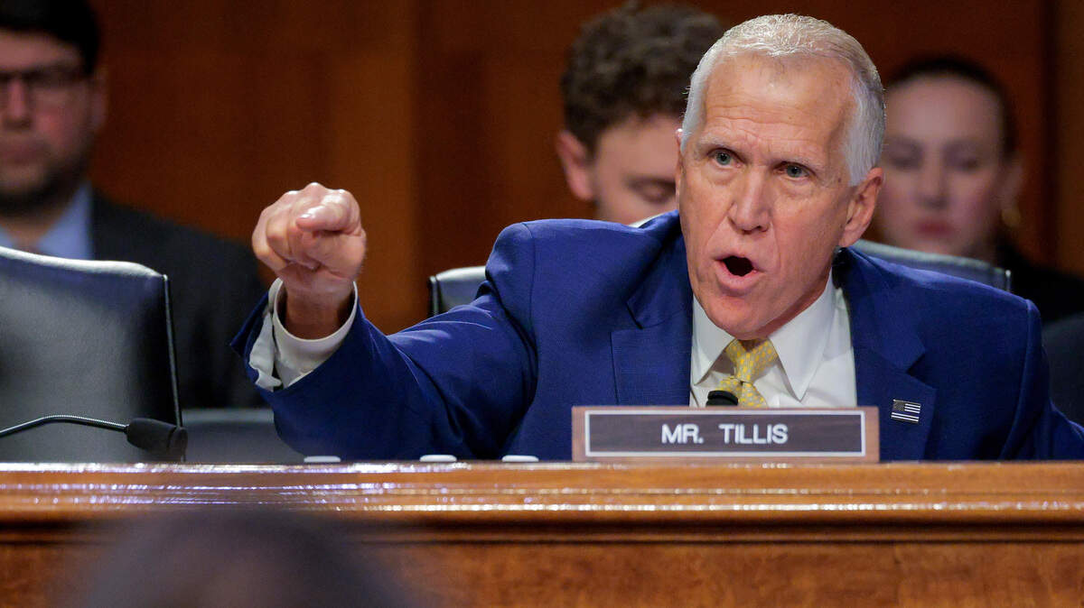 Thom Tillis vs. Blanche, teen takeovers: What Charlotte was talking about July 13-19