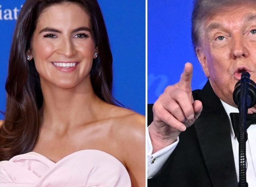 CNN’s Kaitlan Collins Seemingly Responds to Donald Trump Insult at WHCD