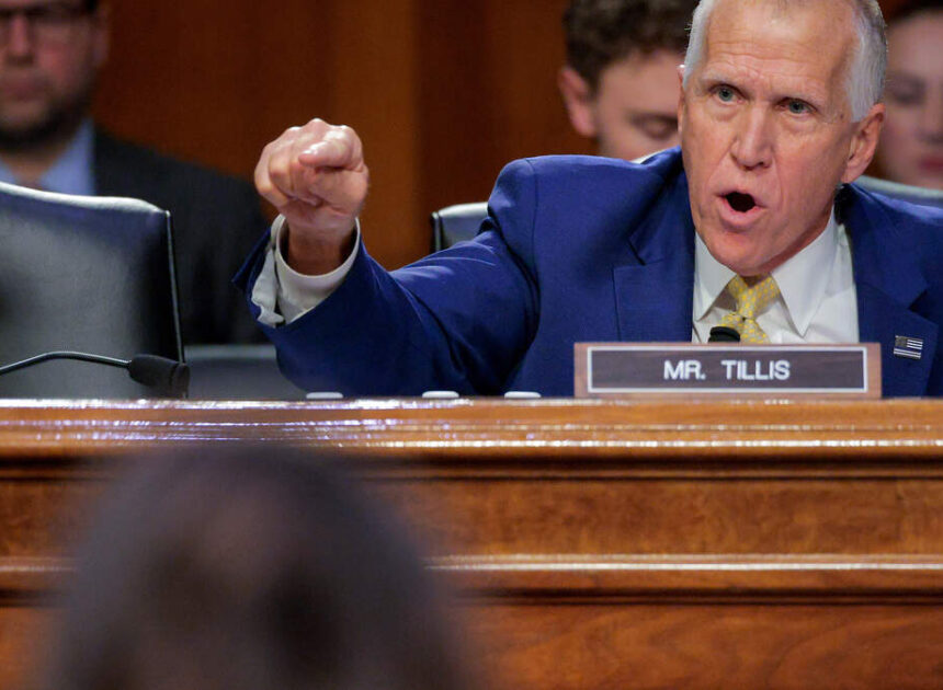 At Blanche confirmation hearing, the old Thom Tillis returns with a whimper | Opinion