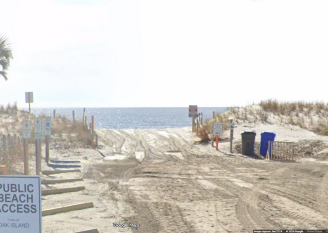 Half a shark reported on NC island ignites debate over what killed it