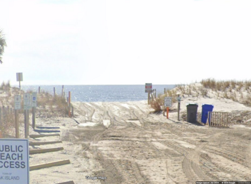 Half a shark reported on NC island ignites debate over what killed it