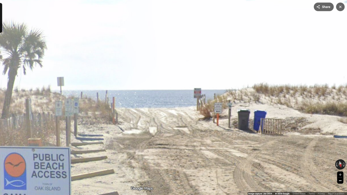 Half a shark reported on NC island ignites debate over what killed it