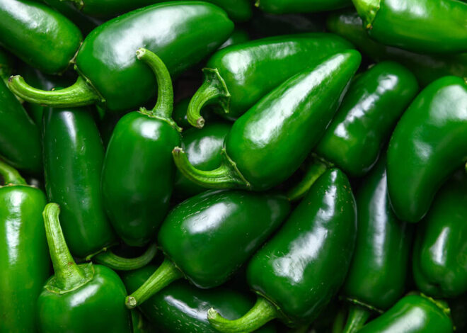 Taylor Farms recalls more produce amid NC’s salmonella & cyclosporiasis outbreaks