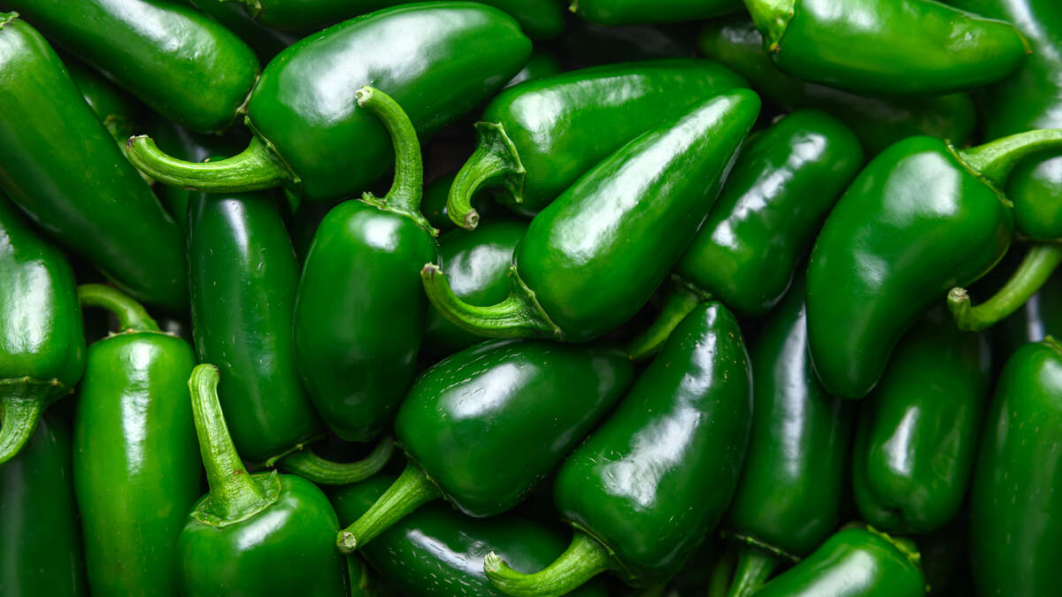 Taylor Farms recalls more produce amid NC’s salmonella & cyclosporiasis outbreaks