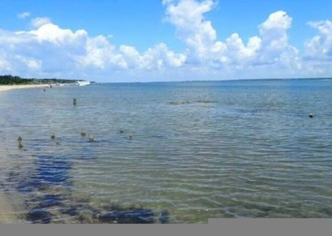Nash County EMS director dies off North Carolina’s Shackleford Banks, town says