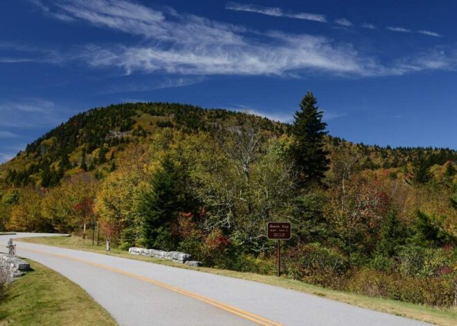 Traffic stop on Blue Ridge Parkway exposes narcotics operation, NC sheriff says