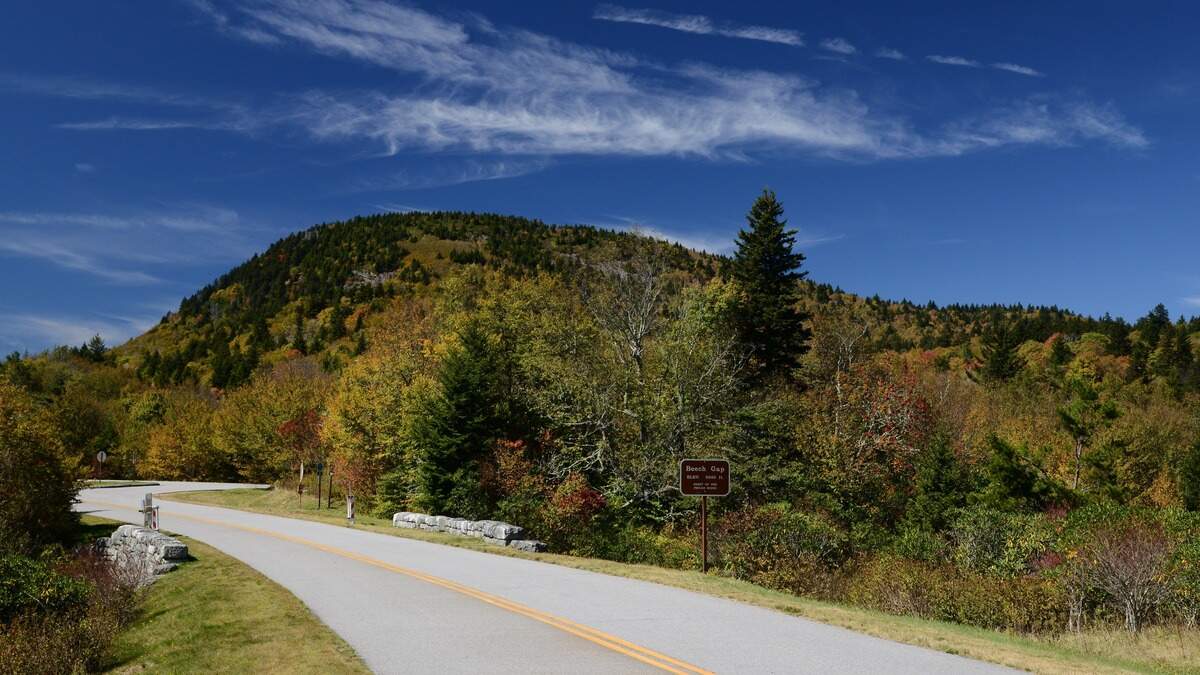 Traffic stop on Blue Ridge Parkway exposes narcotics operation, NC sheriff says