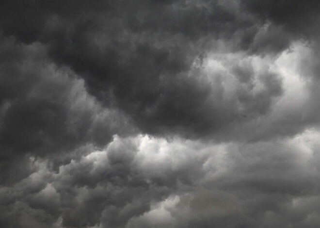 Storms with strong winds descend on Charlotte area Saturday, NWS says