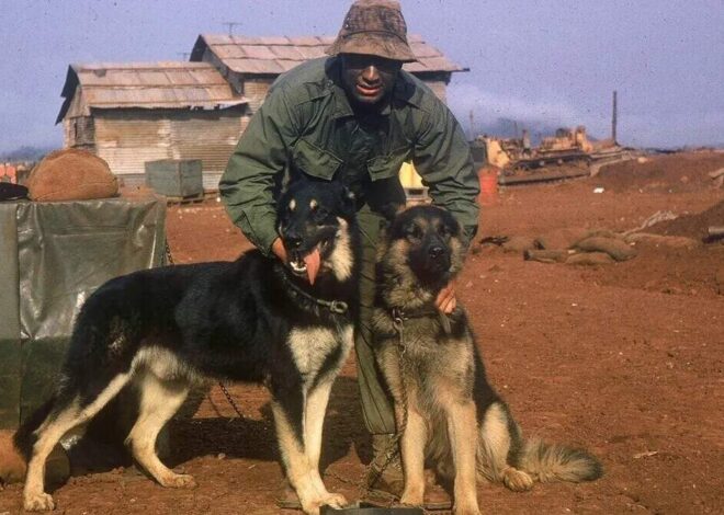 He Earned the Medal of Honor in Vietnam. Why Did It Take Decades To Receive It?