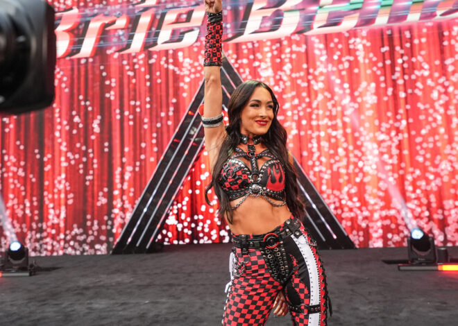 Brie Bella ‘Taken to the Hospital’ After SummerSlam Shoulder Injury