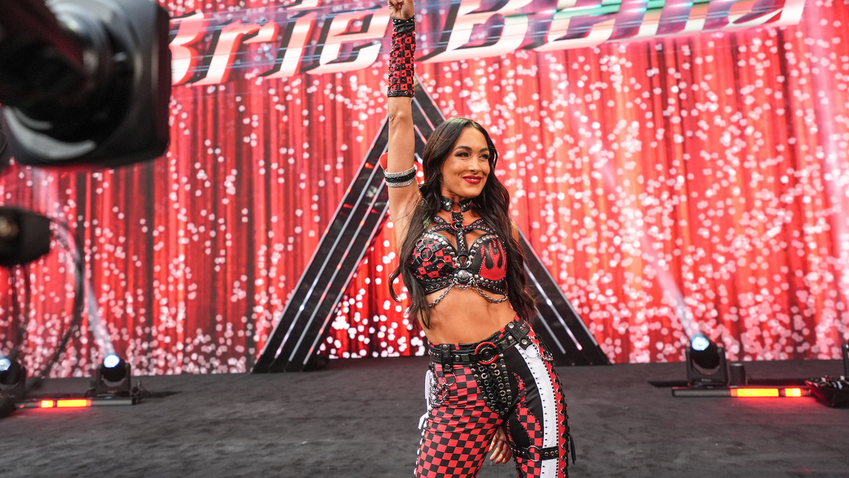Brie Bella ‘Taken to the Hospital’ After SummerSlam Shoulder Injury